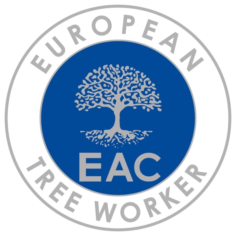 European tree worker in Bernau