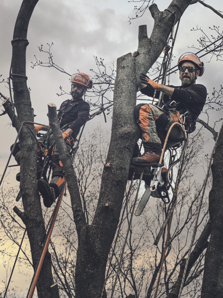 Baumpflege Team Bernau Über Uns